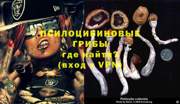 СК Абаза
