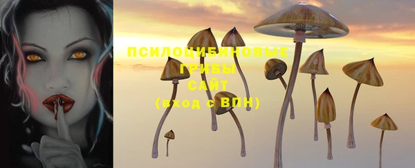 мяу мяу мука Александровское