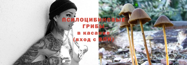 соль ск Иноземцево